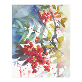 Viburnum / Guelder rose (Print Only) thumbnail