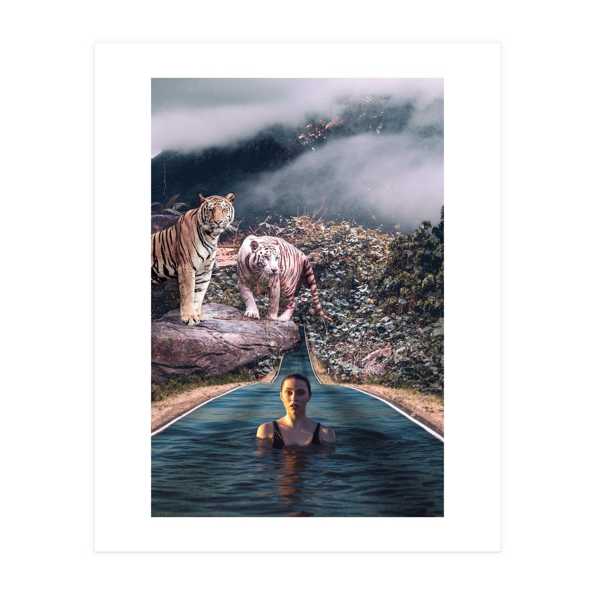 Infinite Pool To Tiger Jungle (Print Only)