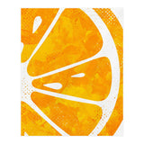 Citrus Collection No1 (Print Only) thumbnail