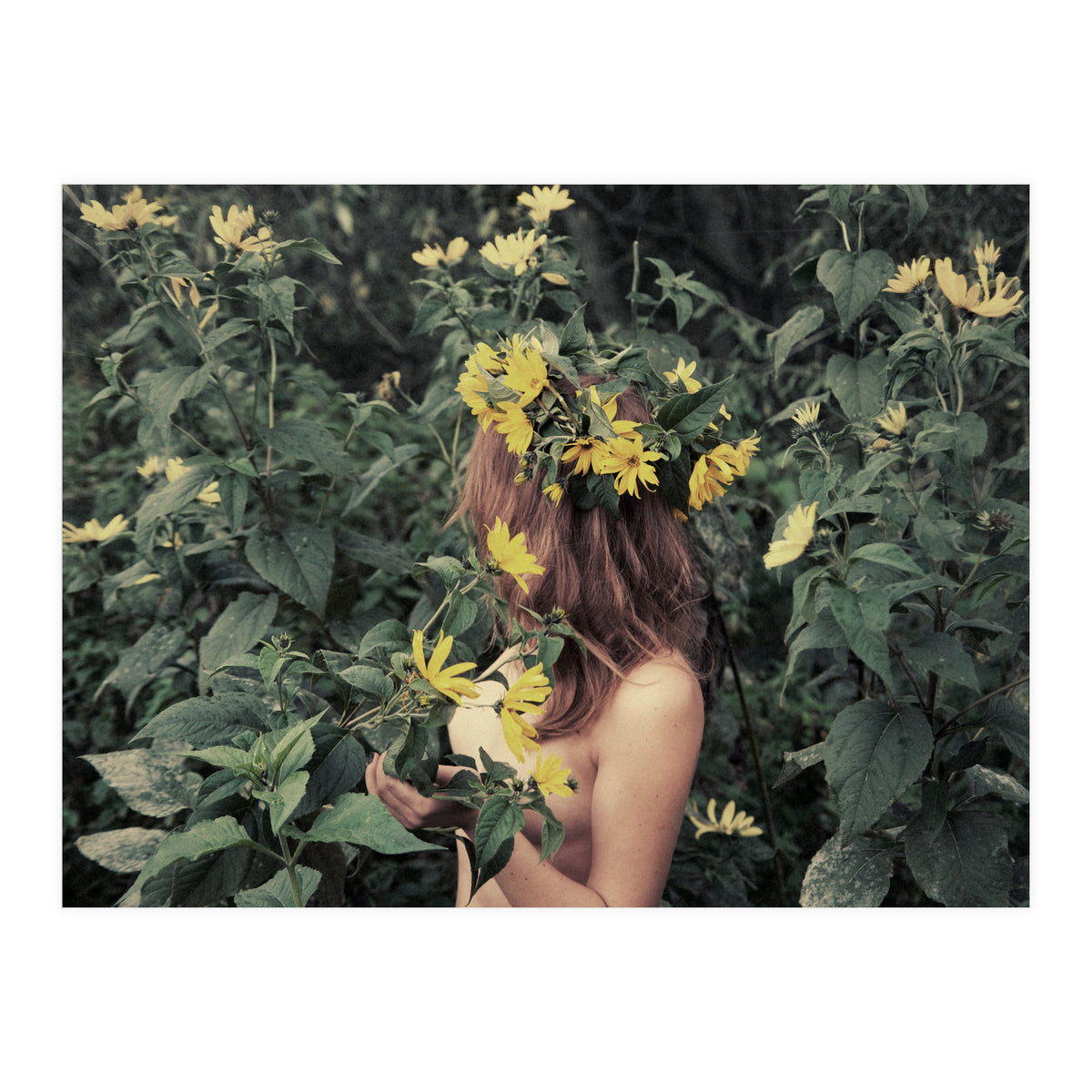 It Still Doesn’t Feel Like Summer Solstice Yet (Print Only)