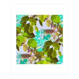Herbs II (Print Only) thumbnail