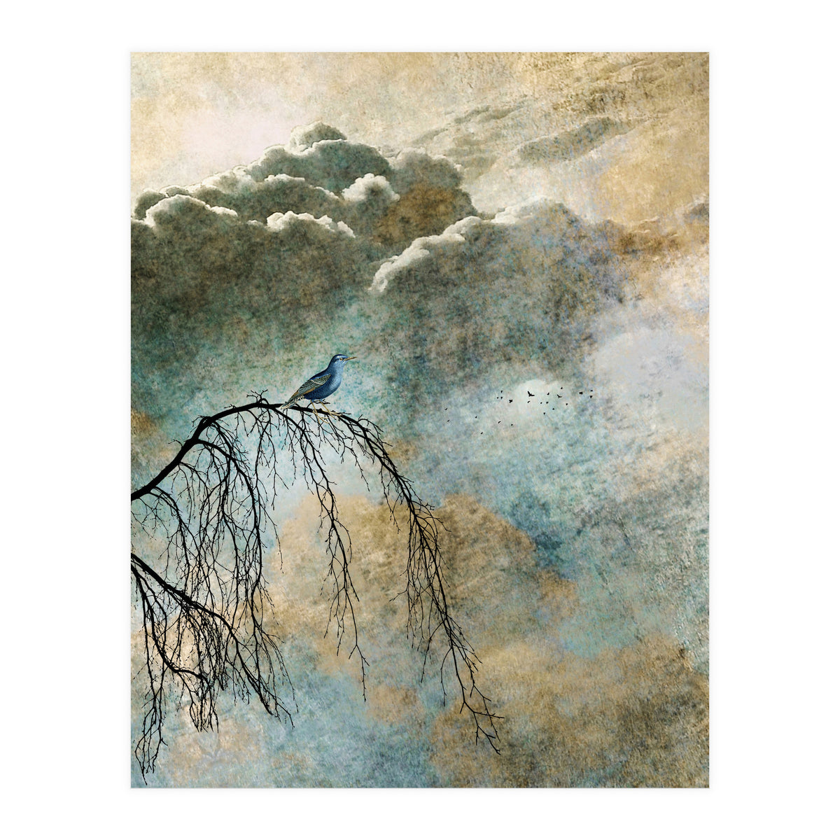 HEAVENLY BIRD IIb (Print Only)