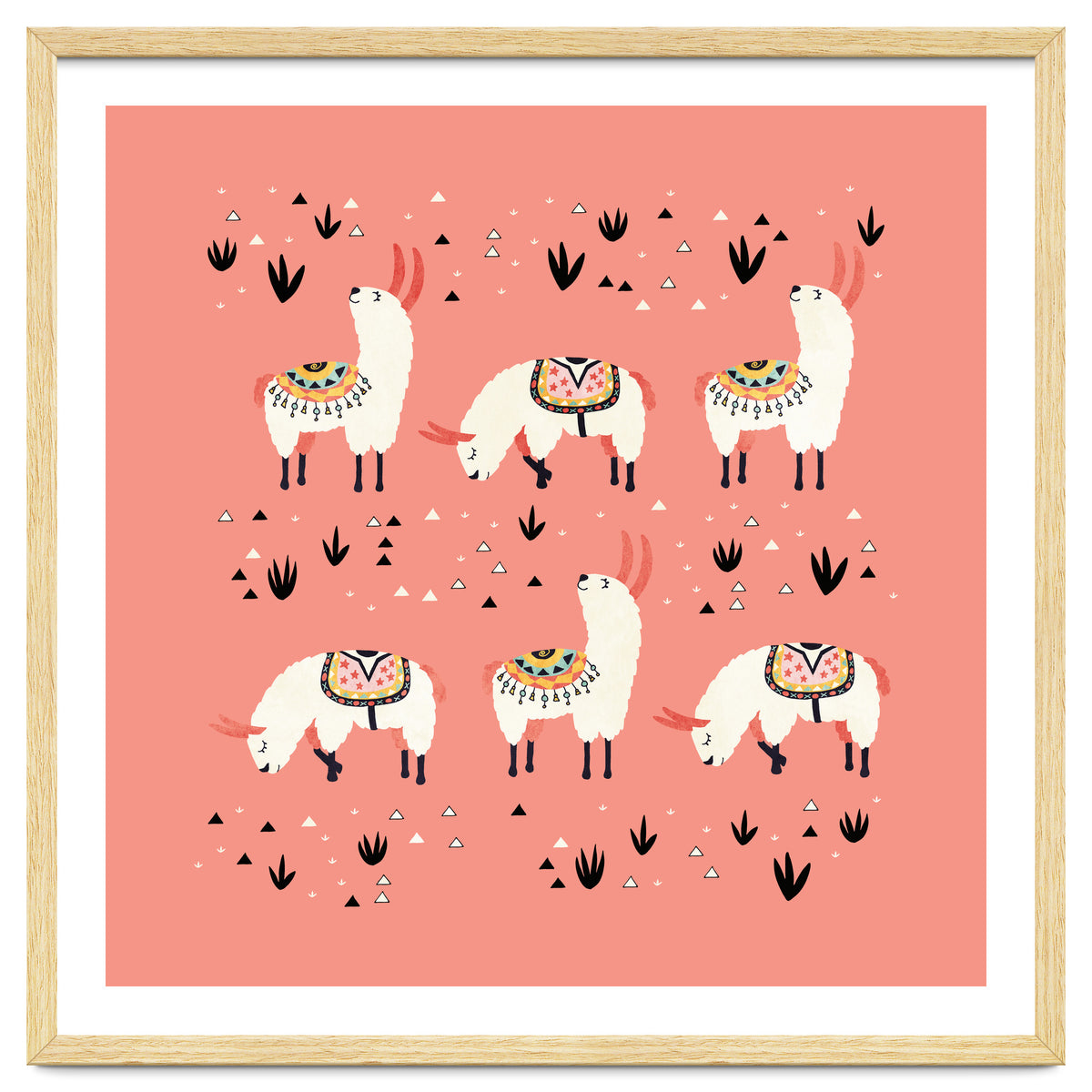 White Llamas In Pink Desert