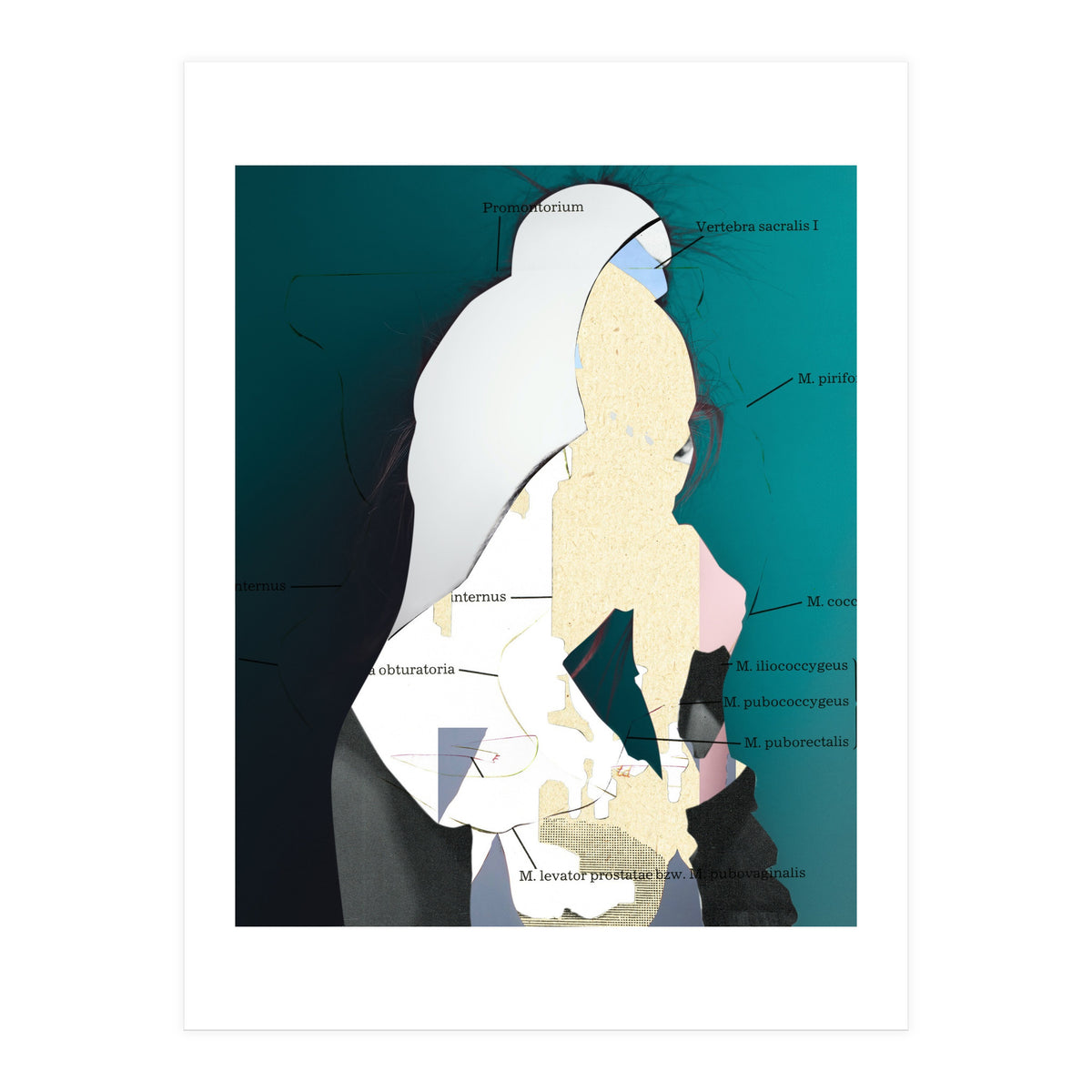 Position Task (Print Only)