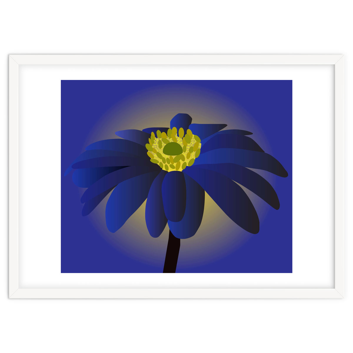 Anemone Blanda Flower Art
