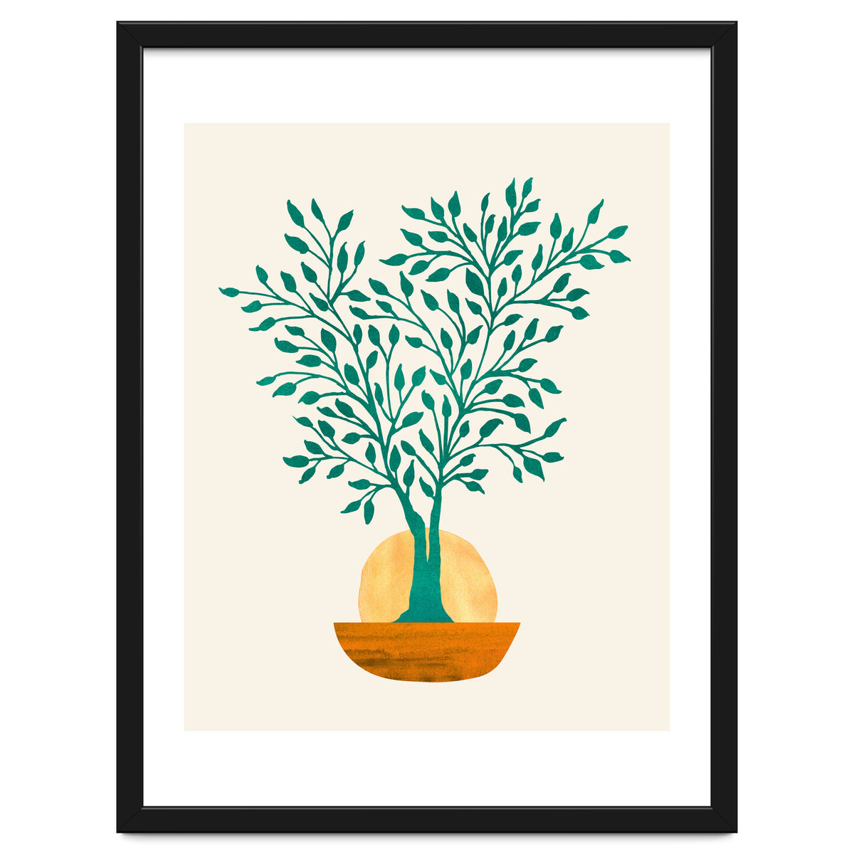 Emerald Ficus Sunset