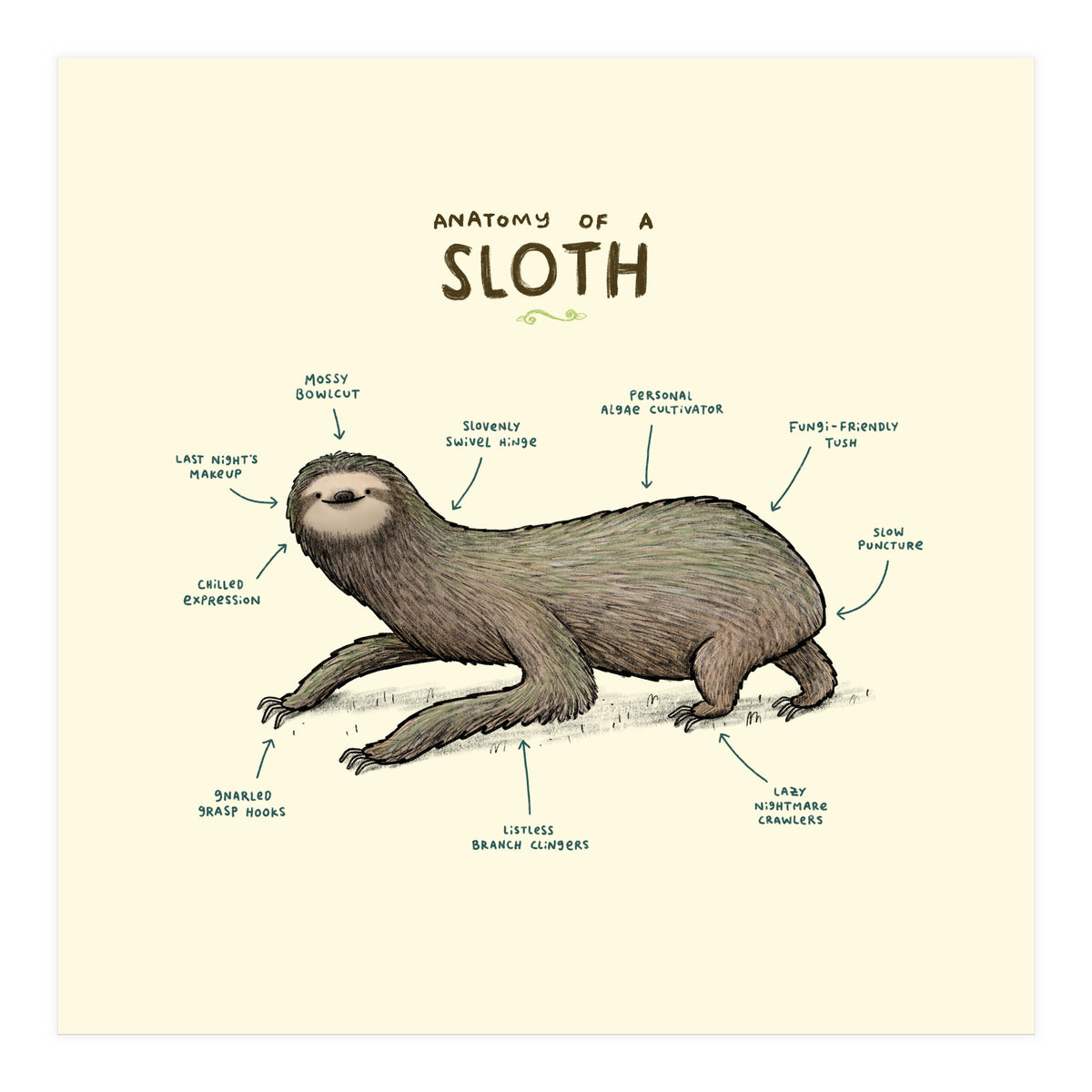 Anatomy Of A Sloth (Print Only)