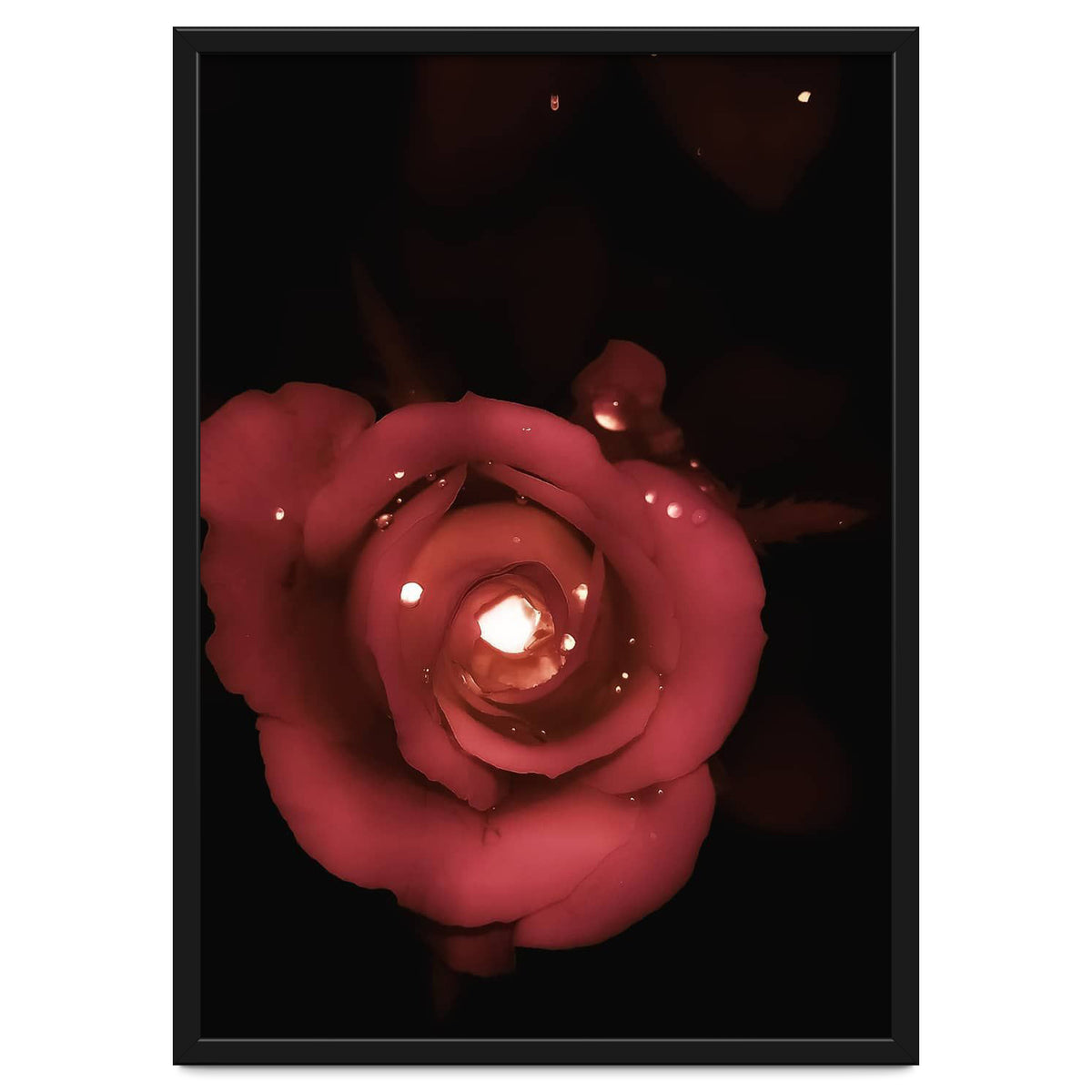 Lighting Rose