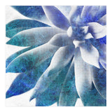 Rough Beauty 3 (Print Only) thumbnail