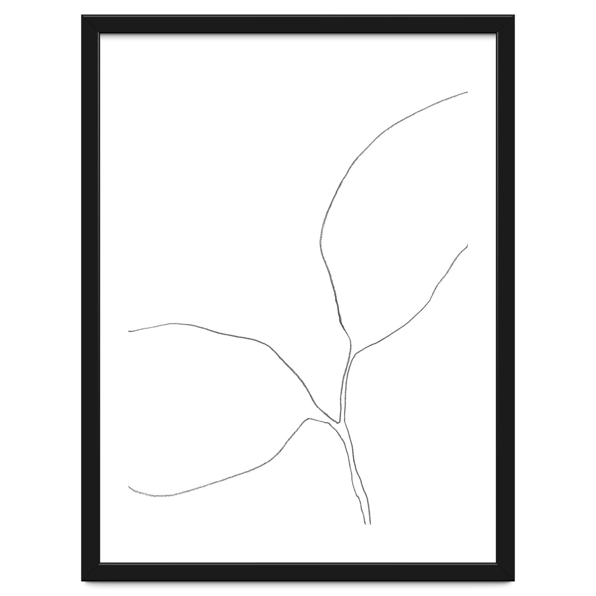 Seedling Leaning Left