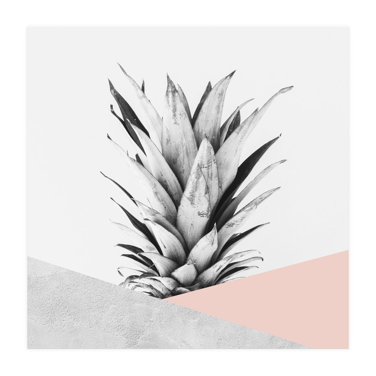 Scandinavian pineapple II (Print Only)