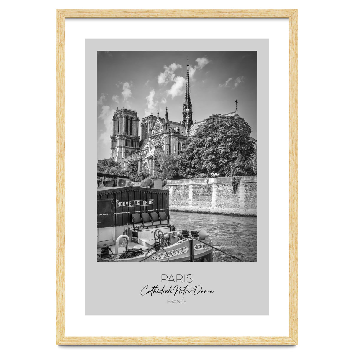 In focus: PARIS Cathedral Notre-Dame