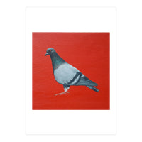 Pigeon (Print Only)