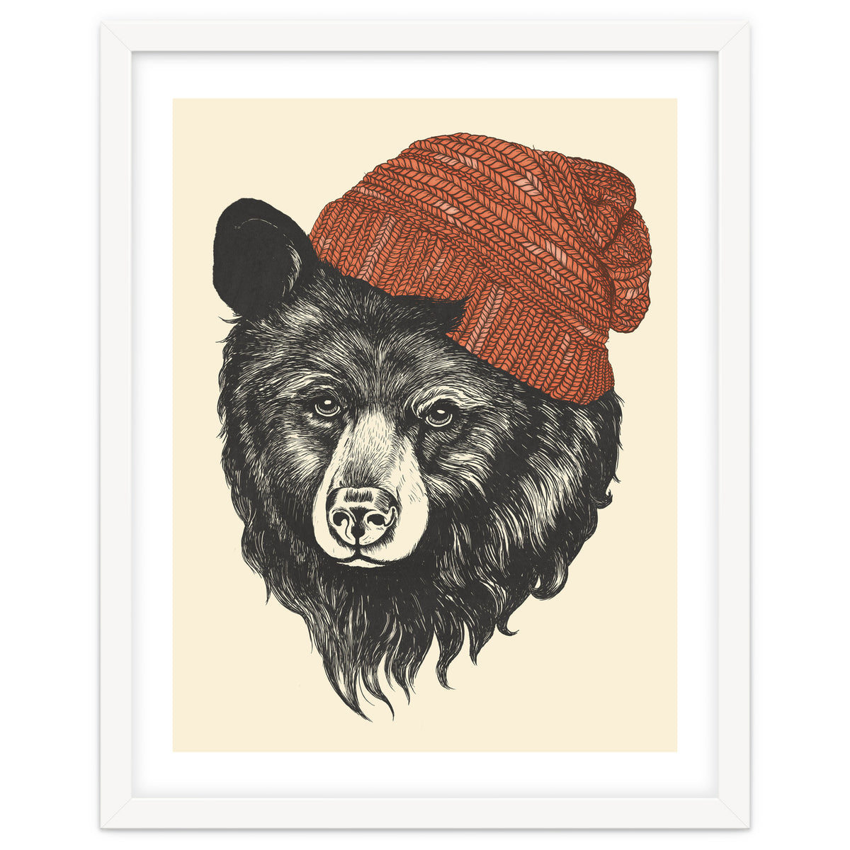 Zissou The Bear