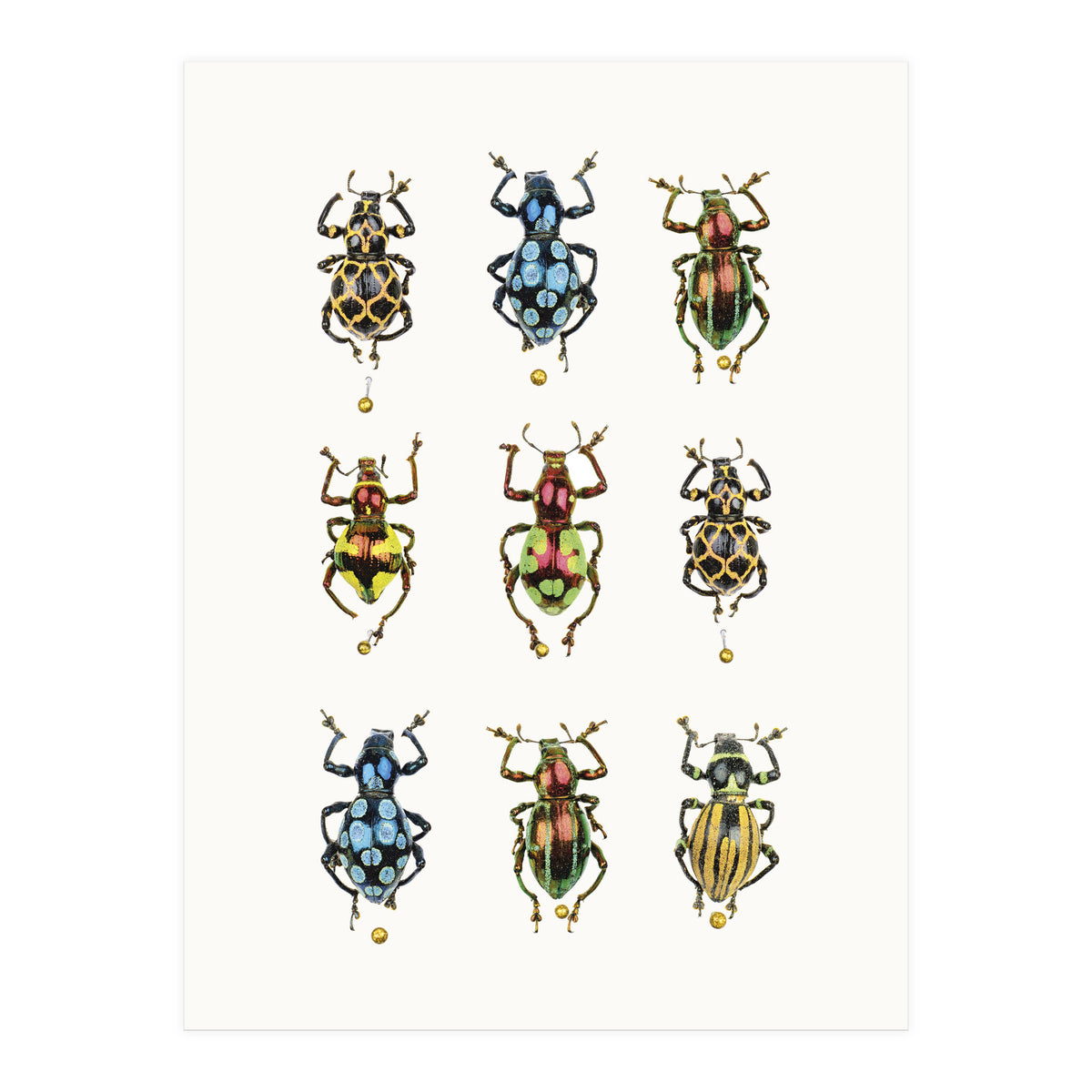 Cc Insects 05 (Print Only)