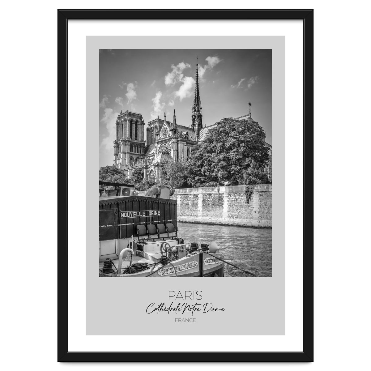 In focus: PARIS Cathedral Notre-Dame