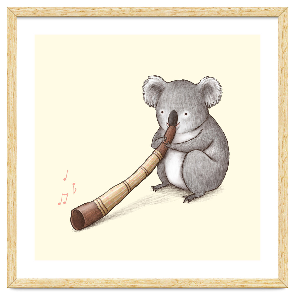 Koala Playing a Didgeridoo