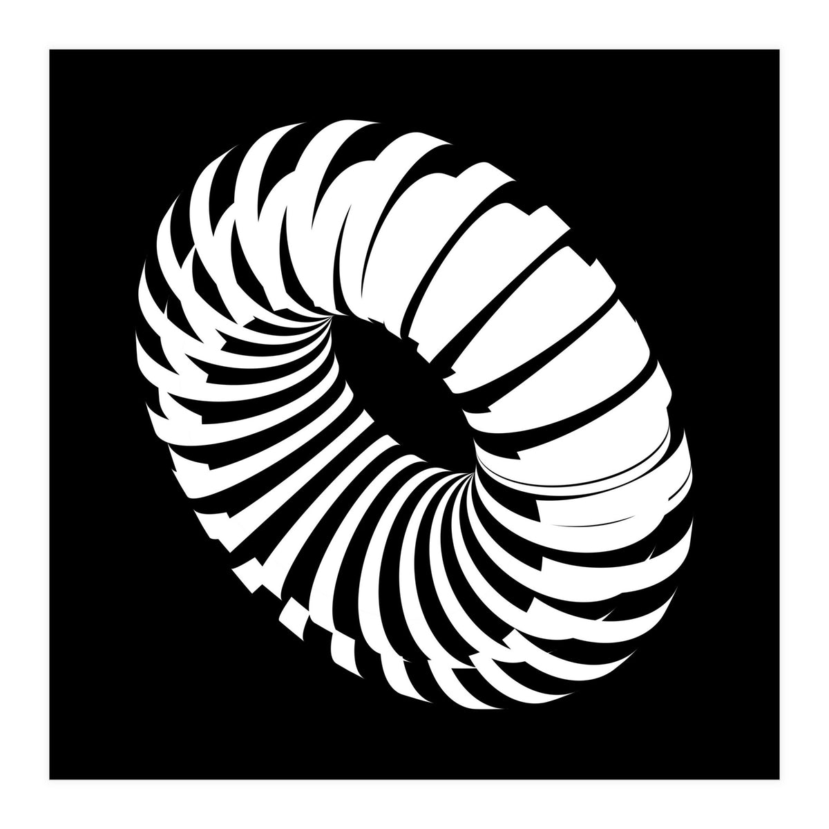 Kinetic_Black (Print Only)