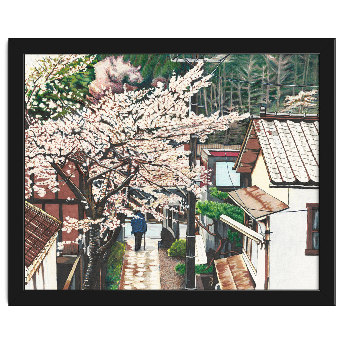 Passing by Cherry Blossoms