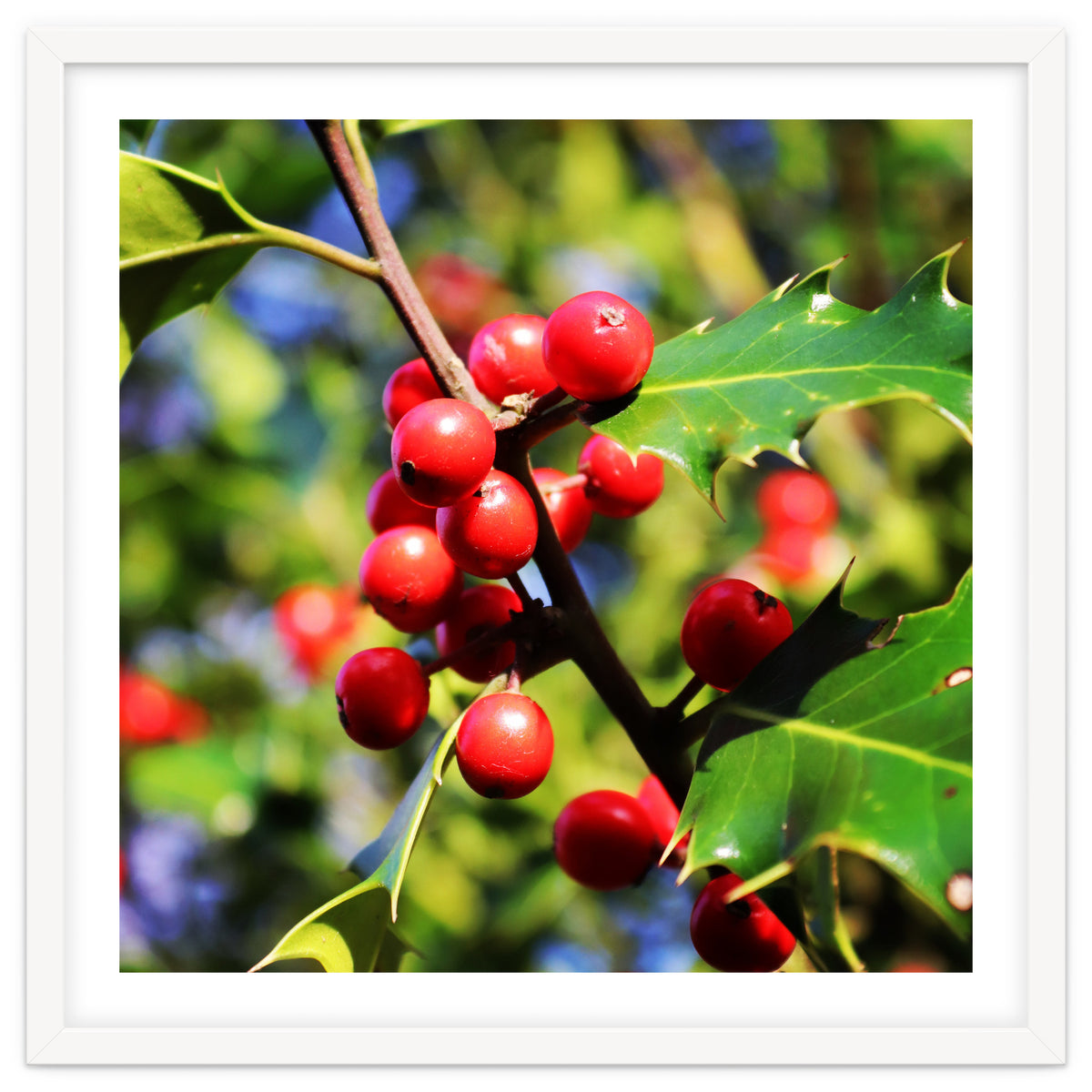 Fab454 Da 548 B 4252 8566 Cb9 Ccef07 Bda