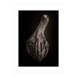 Gourds No 3 (Print Only) thumbnail