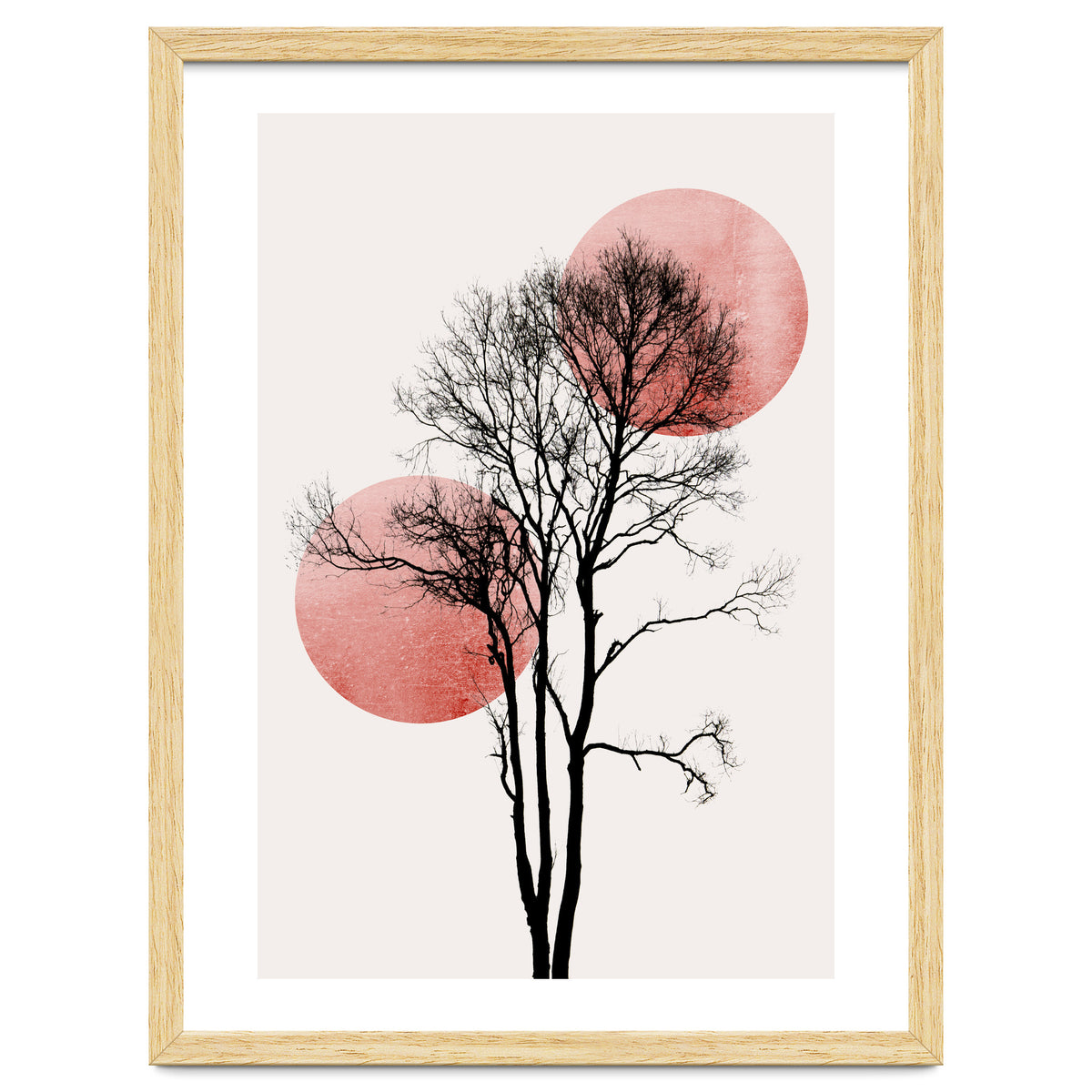 Sun And Moon Hiding Rosè