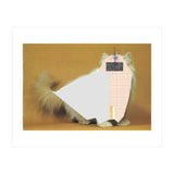 Content Of The Cat 1 (Print Only) thumbnail