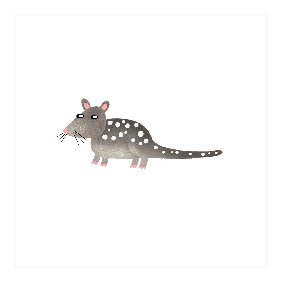 Quoll (Print Only)