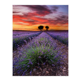 A Place To Dream (Print Only) thumbnail