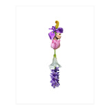 The Flower (Print Only) thumbnail