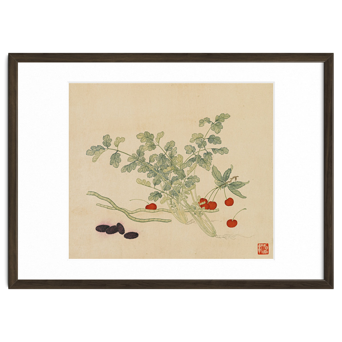 Wang Chengyu~flowers And Vegetables, Vegetables, Fruits, Beans, Red Beans, Cherries, Celery