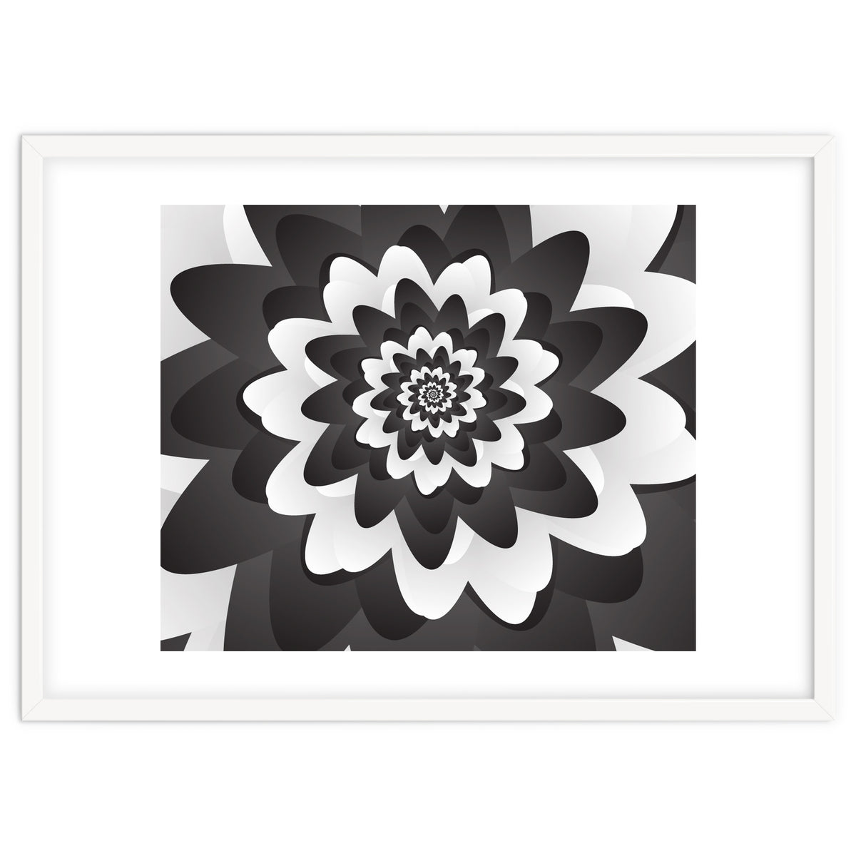 Mono Chrome Flower Spiral Pattern