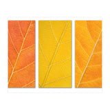 Autumn Leaves (Print Only) thumbnail