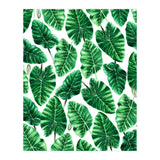 Taro (Print Only) thumbnail
