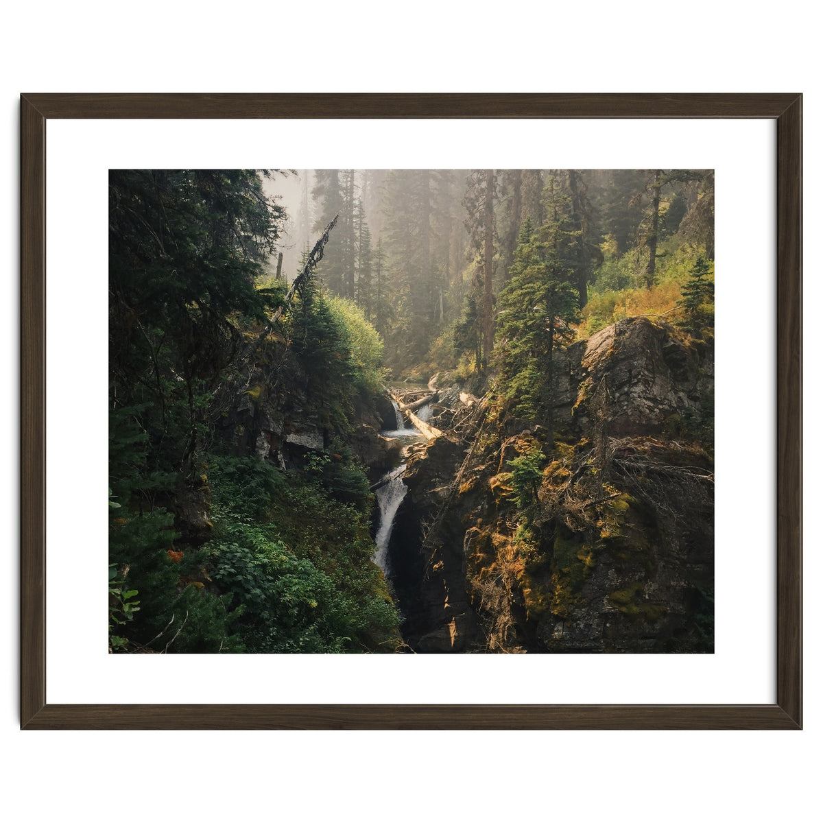 Glacier National Park I