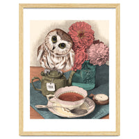 Sweet Little Tea Owl