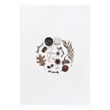 Treasures From Nature No. 2 (Print Only) thumbnail