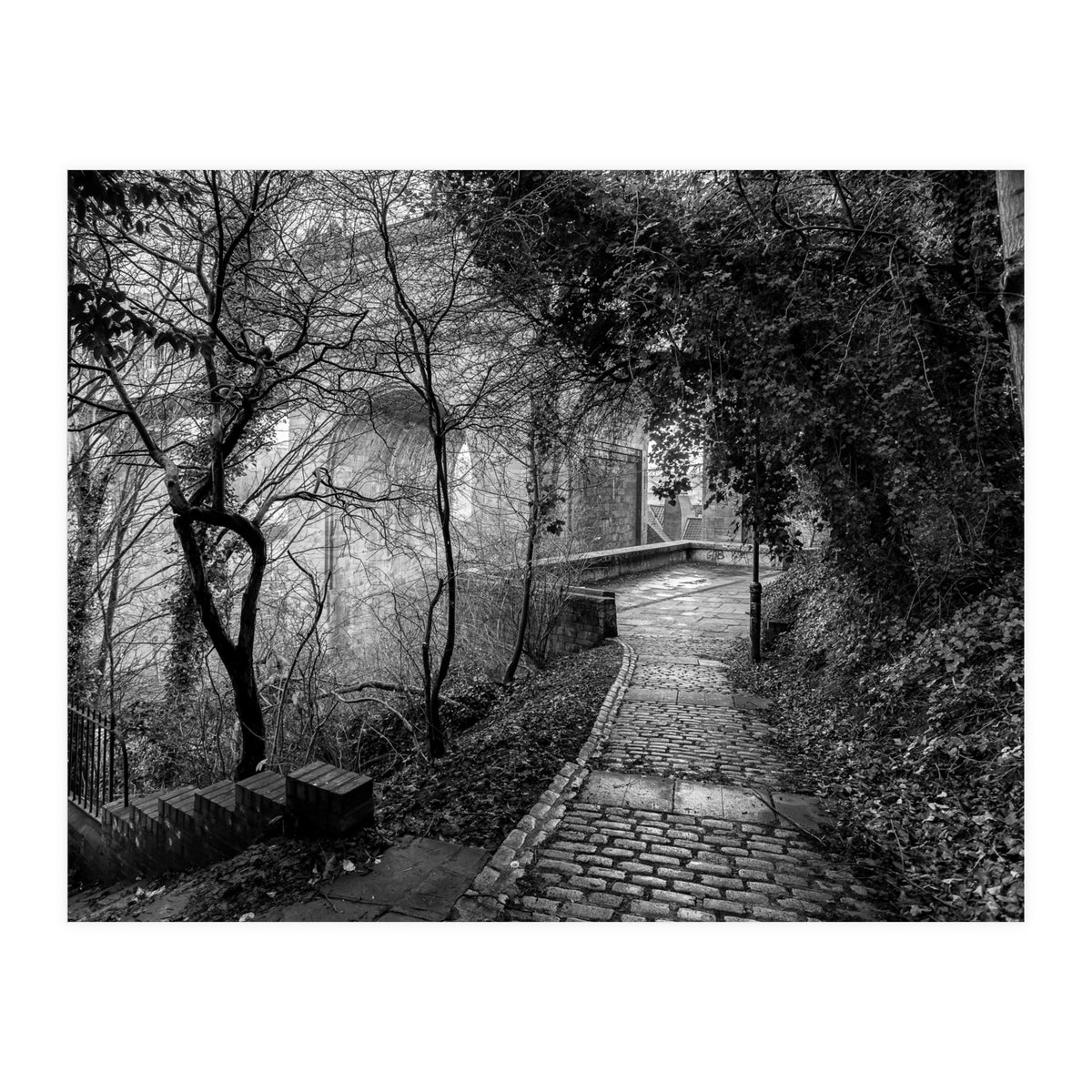 Monochrome path (Print Only)