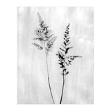 Delicate Wildflowers (Print Only) thumbnail