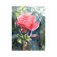 Romantic rose (Print Only)