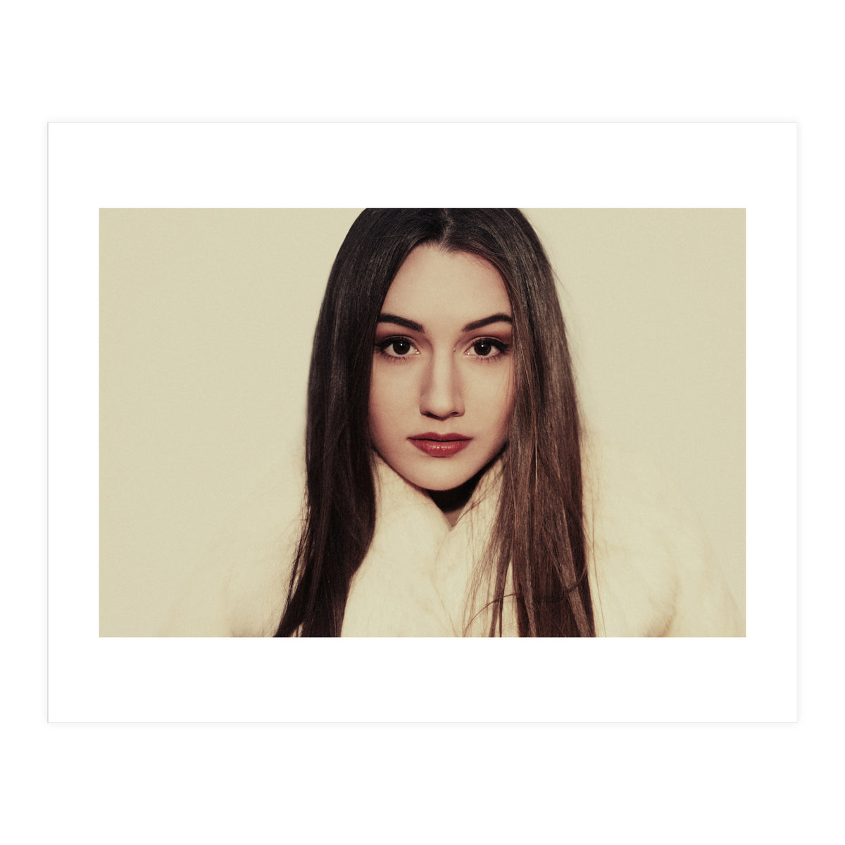 Where do Polar bears Live? (Print Only)