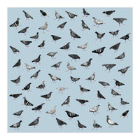 Pigeons Doing Pigeon Things (Print Only)
