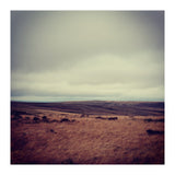 Bleak winter landscape of Saddleworth Moor  (Print Only) thumbnail