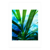 Remixed Spirit V1 (Print Only) thumbnail