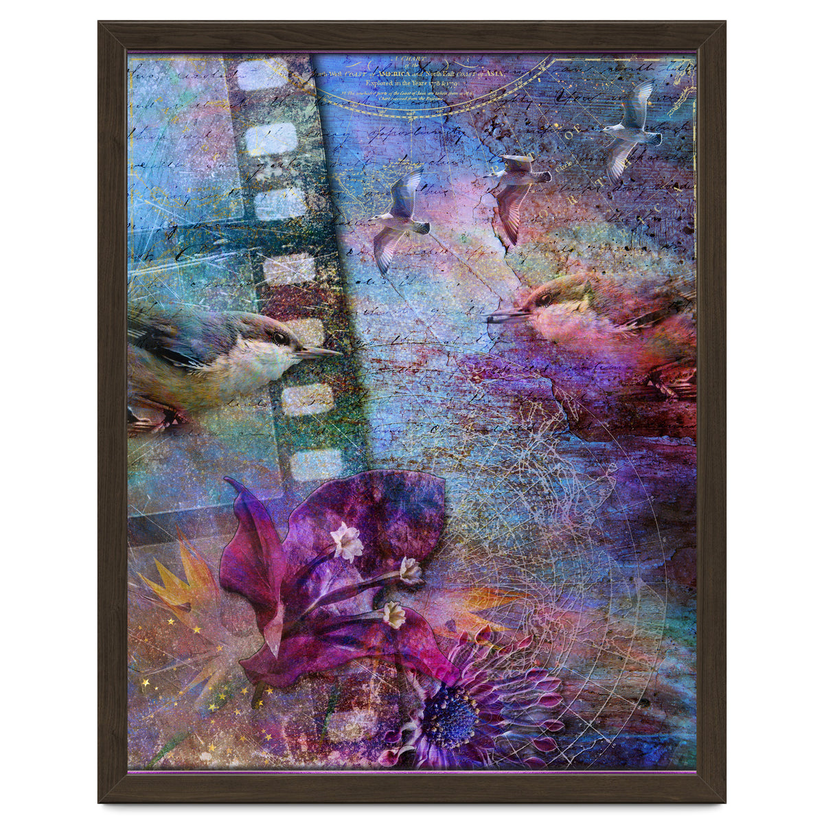 Watching the Wild World