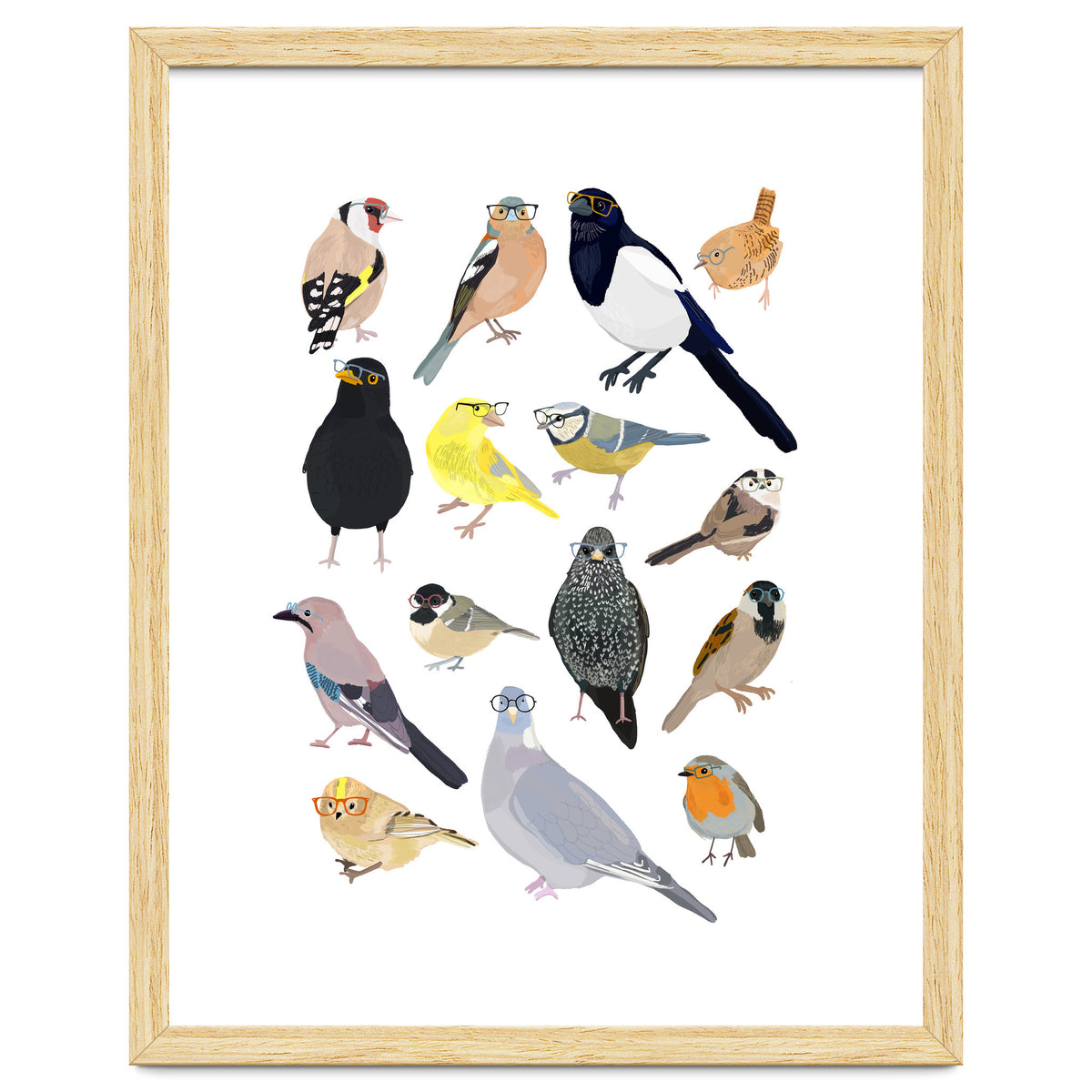 UK Birds in Glasses