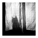Mr. Wallace (Print Only) thumbnail