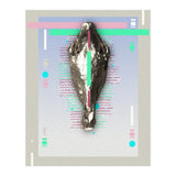 Equus quagga (Print Only) thumbnail
