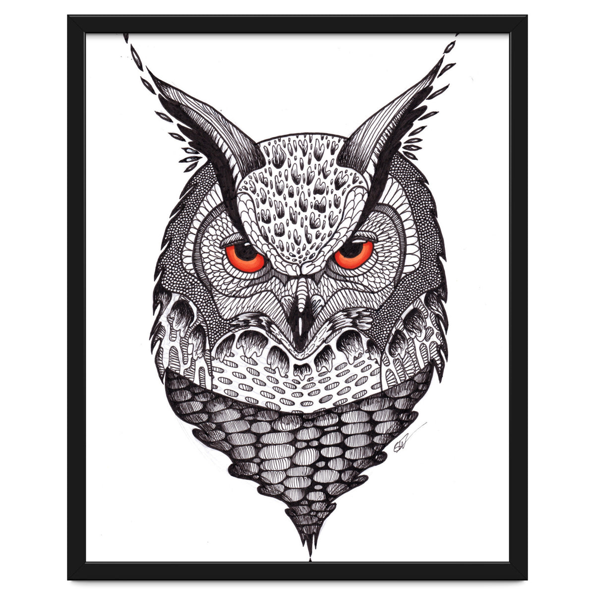 Owl