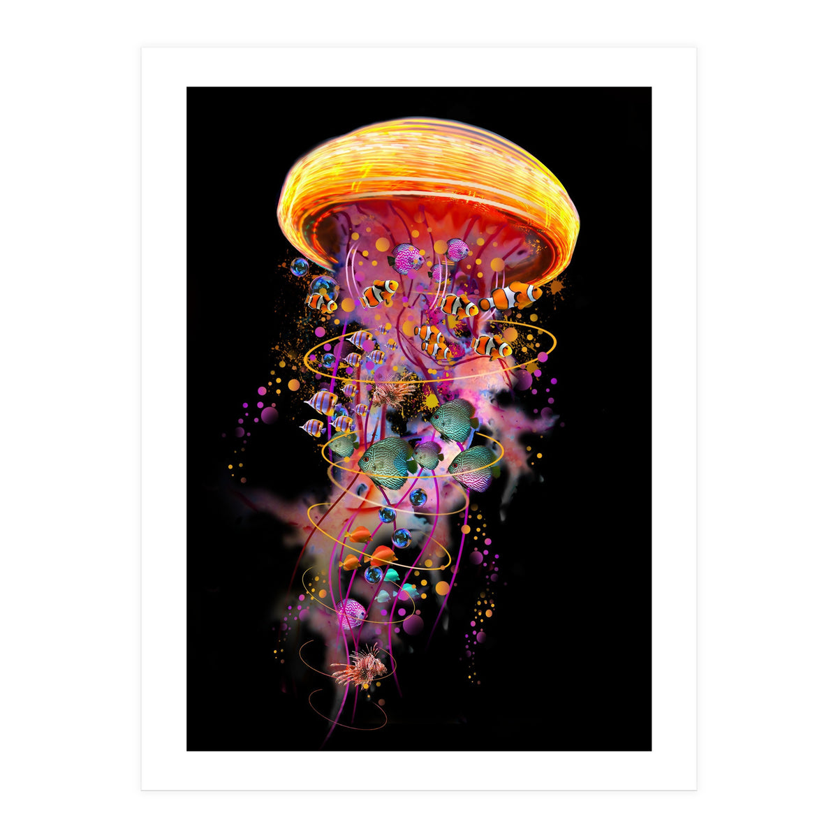 Jelly Fish Ride Summer2018 Dbh (Print Only)